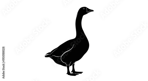 Black Silhouette of a Goose.