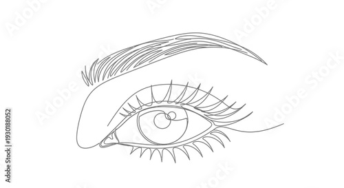 Minimalist Line Art Drawing of a Woman's Eye with Eyelashes and Eyebrow