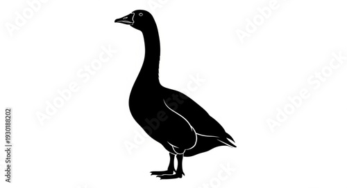 Black Silhouette of a Goose.
