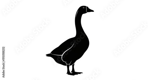 Black Silhouette of a Goose.