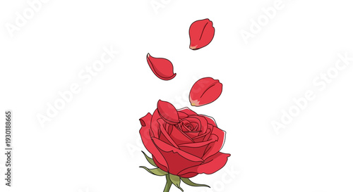 Vibrant Red Rose with Gently Falling Petals
