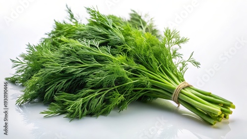 A closeup of a bundle of fresh dill sprigs with feathery green leaves arranged on a bright white background