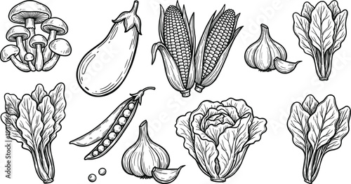 Vintage Hand Drawn Vegetable Sketches: Mushroom, Corn, Garlic and Leafy Greens Collection