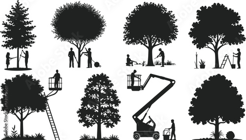 Tree care silhouettes, pruning planting trimming arborist gardening maintenance illustration, flat vector