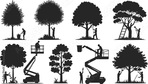 Tree maintenance silhouettes, pruning trimming cutting, arborist safety equipment illustration, flat vector