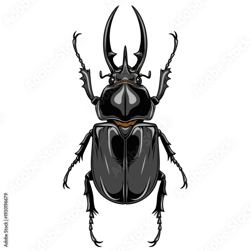 Detailed illustration of a black rhinoceros beetle with prominent horns, isolated on a white background