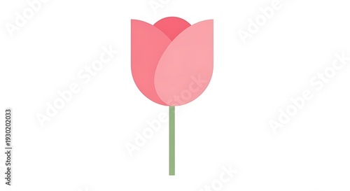 Stylized Pink Tulip Bloom with Green Stem Flat Design