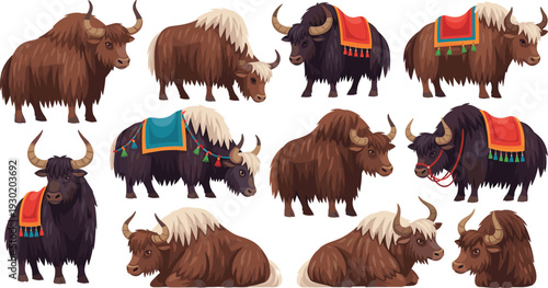 Set of Tibetan Yak and Highland Cattle Characters with Traditional Saddles in Standing and Resting Poses for Travel, Cultural, and Agricultural Vector Designs