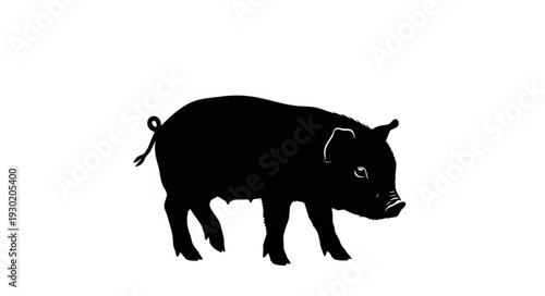 Black Silhouette of a Pig.