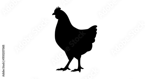 Black Silhouette of Chicken Standing.