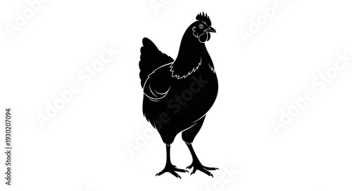 Black Silhouette of Chicken Standing.