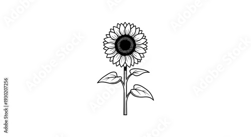 Minimalist Black and White Sunflower Illustration with Stem and Leaves