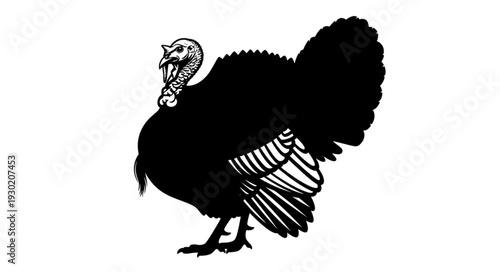 Black Silhouette of a Turkey.