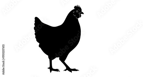 Black Silhouette of Chicken Standing.