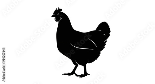 Black Silhouette of Chicken Standing.