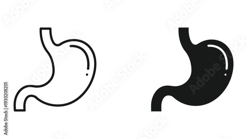 Simple black and white illustration of human stomach anatomy