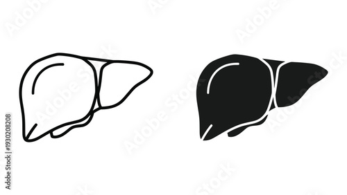 Anatomical illustration of human liver lobes in black and white