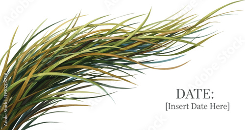 A close-up view of a bunch of grass with varying shades of green and yellow on a white background