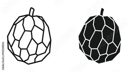 Black and white illustrations of pomegranates