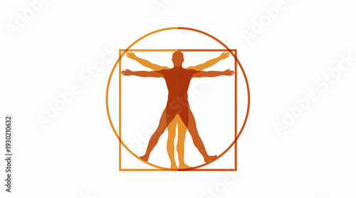 Vitruvian Man silhouette illustration with orange gradient body proportions inside circle and square on white background, concept for medical education, healthcare branding and anatomical studies