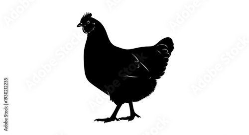 Black Silhouette of Chicken.