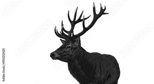 Black Silhouette of Deer Head.