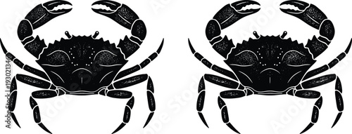 Detailed black silhouette illustration of two crabs isolated on white background, perfect for nautical icons, marine designs, and seafood branding.