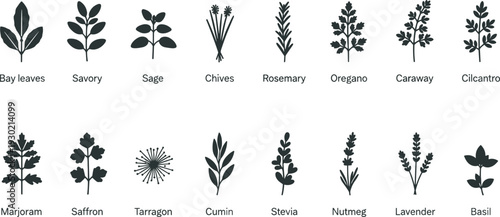 Black and white silhouette illustration of culinary herbs and spices including bay leaves, rosemary, basil, sage, oregano, lavender, nutmeg, and saffron for cooking, gardening, and educational design.