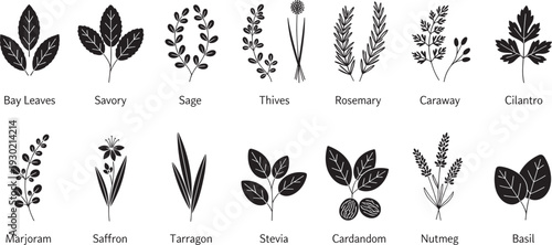 Black and white silhouette illustration of culinary herbs and spices including bay leaves, rosemary, basil, sage, oregano, nutmeg, cardamom, and saffron for cooking, gardening, and educational 
