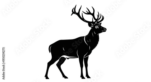 Black Silhouette of Deer with Antlers.