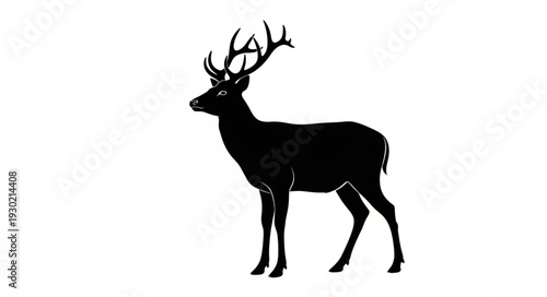 Black Silhouette of Deer with Antlers.