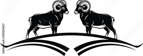 Two bighorn rams standing on a hill vector illustration, symmetrical animal logo design featuring powerful horned sheep in silhouette.