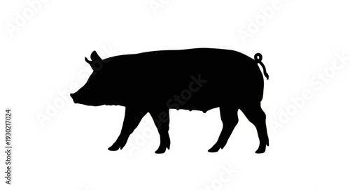 Black Silhouette of Pig Walking.
