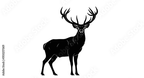 Black Silhouette of Deer with Antlers.