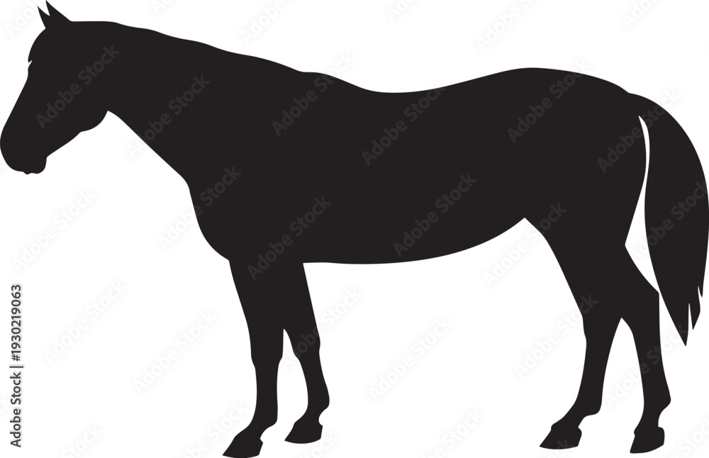 Obraz premium Elegant Horse Silhouettes – Black Horse Outline Vector for Art and Design