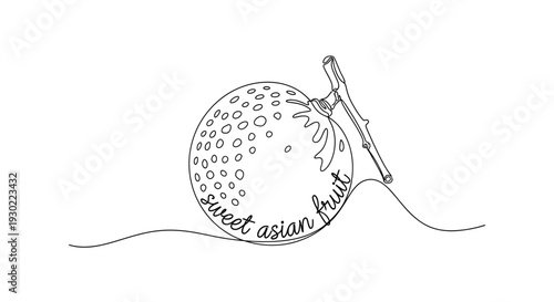 Hand-drawn illustration of a lychee fruit with 'sweet asian fruit' text, minimalist line art