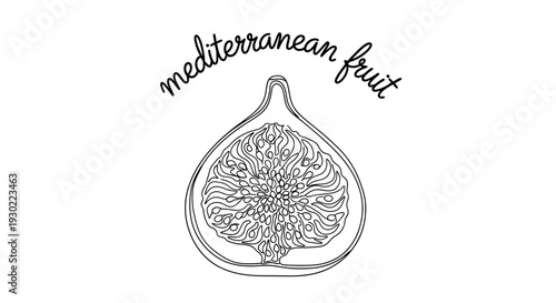 Hand-drawn illustration of a ripe fig cut in half, showcasing its seeds and flesh, with "mediterranean fruit" text.