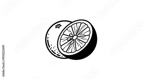 Fresh Orange Cut in Half, Black and White Line Art Illustration