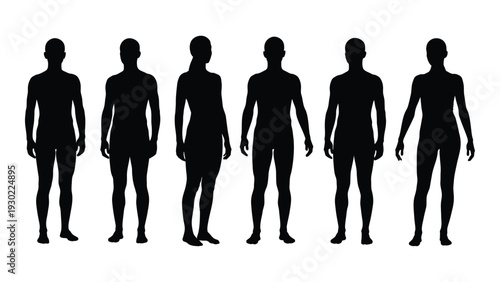 A group of human silhouettes standing in a row isolated on white background, Vector