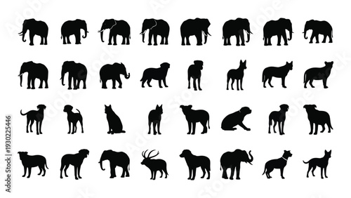 Collection of various animal silhouettes on a white background isolated on white background, Vector