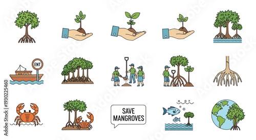 Mangrove Ecosystem Conservation Icons Set with Planting and Wildlife.