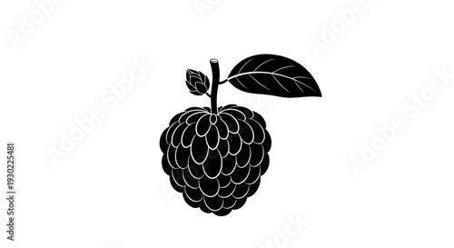 Black Silhouette of a Custard Apple Fruit with Stem and Leaf on White Background