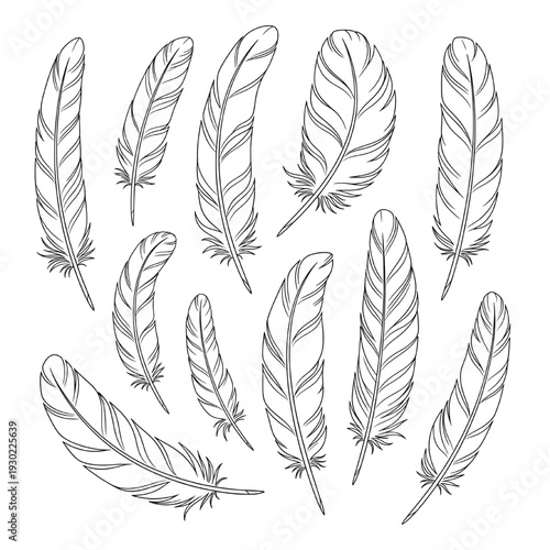 Feathers hand drawn set with black outline line art, assorted bird plumes isolated on white for boho, tribal and decor designs