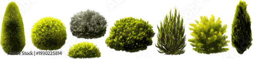 set of different types of moss, on a white background, in clipart illustration style.