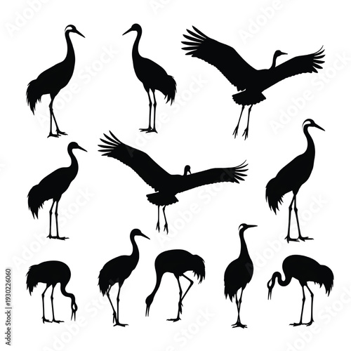 Crane bird silhouettes set with flying and standing poses, black vector icons isolated on white for nature design