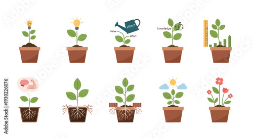 Ten Illustrated Potted Plants Showing Growth Stages and Concepts.