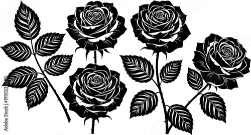 Black Rose Flower and Leaf Silhouette Vector Set with Detailed Botanical Elements for Romantic Designs Logos Tattoos and Decorative Graphic Art