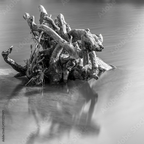 High resolution black and white image Stillness in Motion – Black and White Long Exposure Fine Art Print- Long exposure river with rocks and a big log of wood