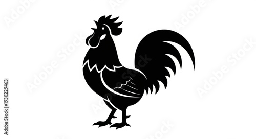Black Silhouette Rooster Standing Proudly.