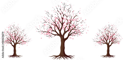 Cherry Blossom Tree Vector Illustration Set with Pink Spring Flowers and Detailed Branches for Nature Landscape Seasonal and Botanical Design